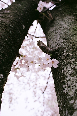 PICT0024
