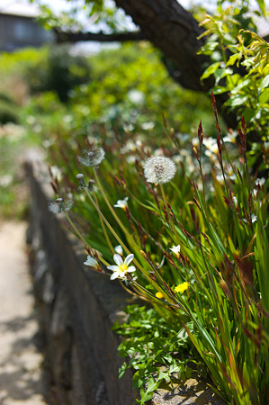 20120429-L1000080