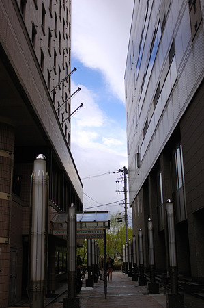 DSC06509m