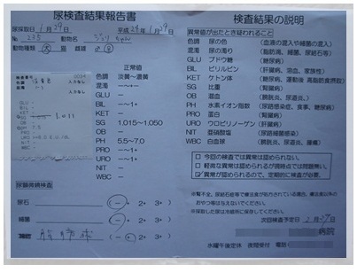 20120129 尿検査 結果