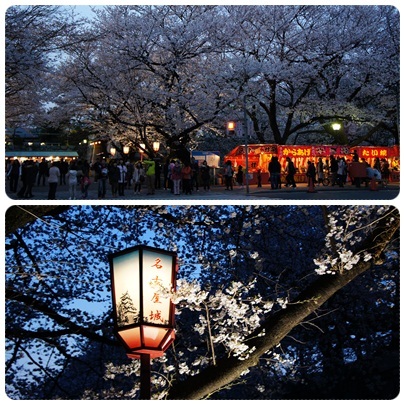 20120408 名古屋城 正門前