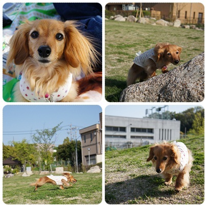 20120428 お散歩1