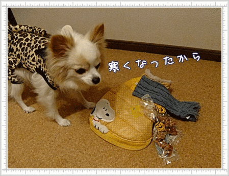 お買い物