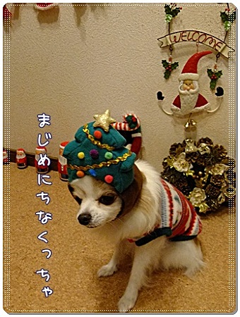 まじめに
