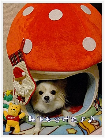 準備完了