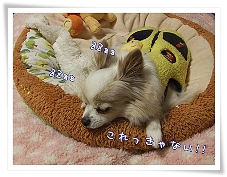 寝る