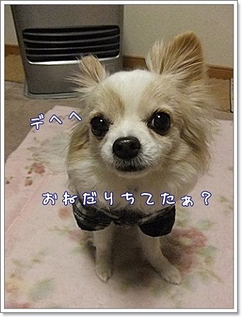 おねだり