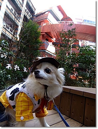 あれぇ
