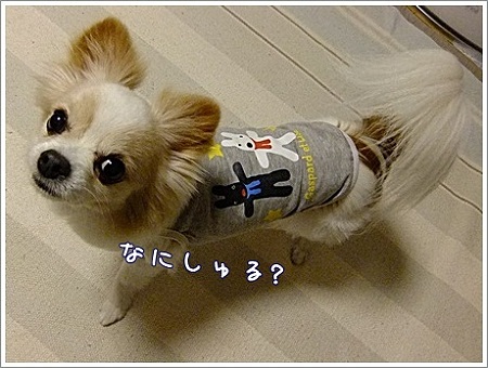 なにしよう