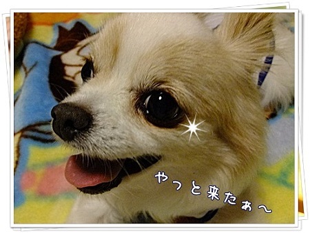 来た~