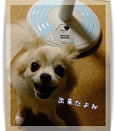 出来たよね♪