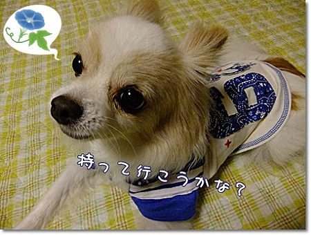 持って行く