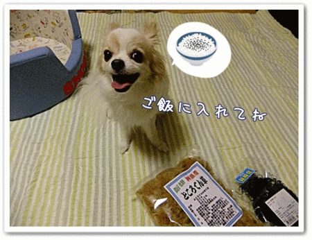 よろしく