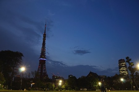芝公園灯点し頃