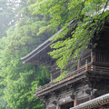 雨の大悲願寺山門