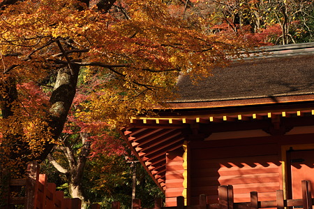 談山神社の紅葉-4