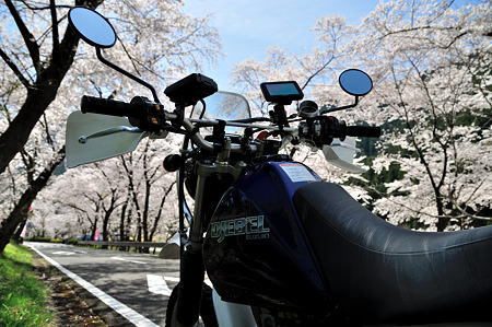 下北山村で桜ツーリング・1