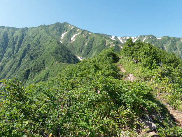 20150711_090217_Canon S120
