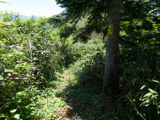 20150711_113938_Canon S120