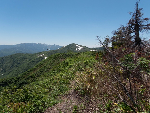 20150711_115344_Canon S120