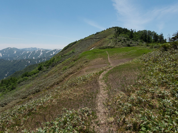 20150711_131929_Canon S120