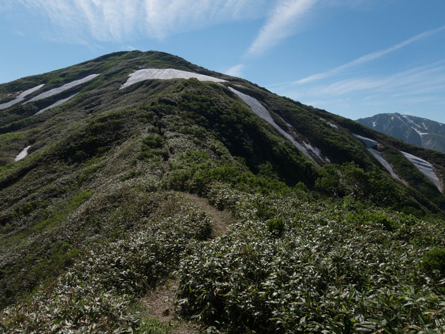 20150711_151647_Canon S120