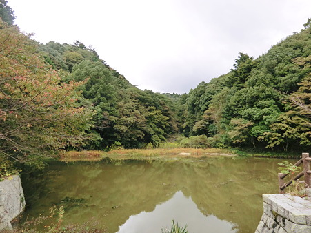 10月の猩々池