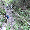 蟇滝の登山道をトラバース