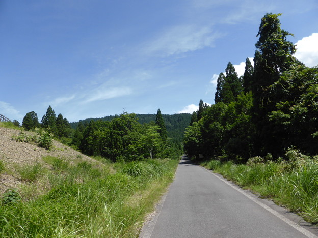 広域基幹林道沖ノ山線