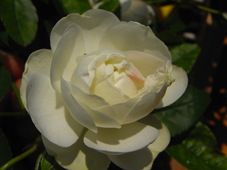 R0012653
