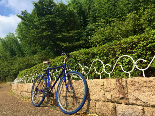 １年振りに自転車で清滝峠を登った