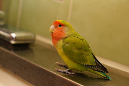 DSC04876-2