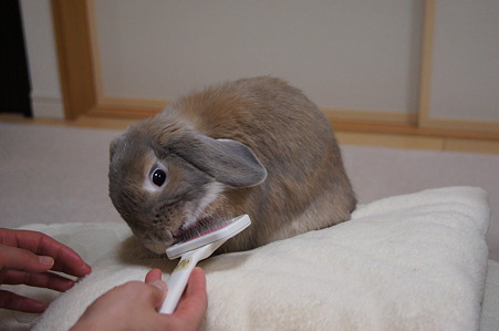 アゴ2