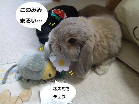 ジャッキー3