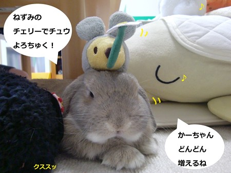 ジャッキー5