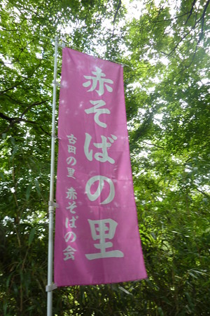 P1100773