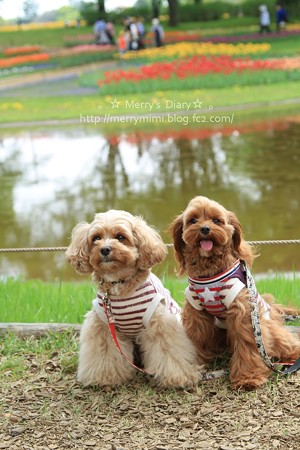 MERRY&ViVi