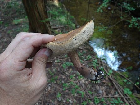DSC01944_R