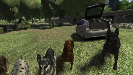 犬公園
