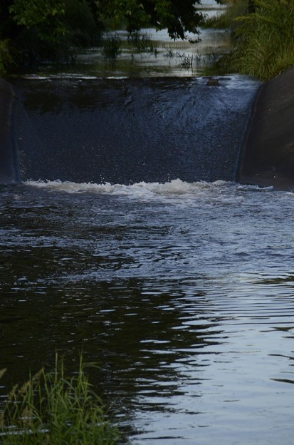 Photos: 5月21日、増水した落合川の河川堰?